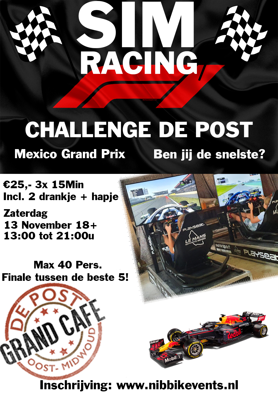 SIM RACING sim racing